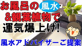 お風呂の風水と観葉植物で運気爆上げ【風水アドバイザーがご提案】