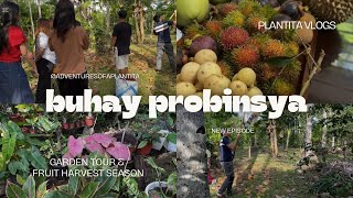 BUHAY PROBINSYA: Garden Tour at Pag-Harvest ng Rambutan, Lansones, Durian 🧺✨