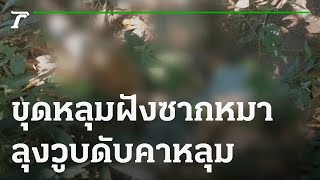 ลุงวัย 59 ขุดหลุมฝังซากหมา-วูบเสียชีวิตคาหลุม | 30-10-64 | ไทยรัฐนิวส์โชว์