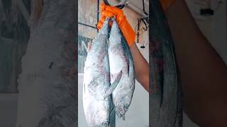 വമ്പൻ കേരയും അമൂറും തൂക്കം!!! പിന്നെ കൂടെ.... #youtubeshorts #seafood #fishing #fish #fishcutting