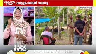 പാലക്കാട് മലമ്പുഴ അയപ്പൻപൊറ്റയിൽ ചെളിയിൽ അകപ്പെട്ട കാട്ടുപോത്ത് ചത്തു