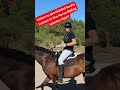 How Do I Ride Canter Transitions With a Lazy Horse? #horse #equestrian #shorts