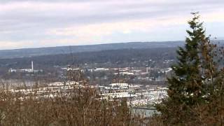 City of Bellingham as Seen from Sehome Arboretum at Western Washington University