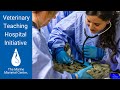 Teaching Hospital Initiative | The Marine Mammal Center