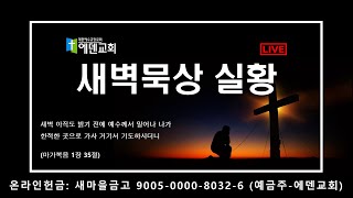 [에덴교회] 새벽묵상 실황 8.23