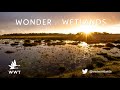 What are wetlands? | WWT