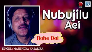 Bihu Hit Song - Nubujilu Aei | Mahendra Hazarika | Assamese Love Song | Rohe Doi | N.K. Production