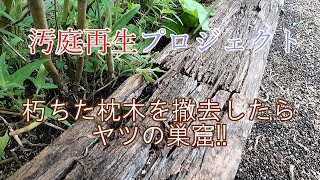 【ガーデニング】朽ちた枕木花壇を取り替え【汚庭再生】