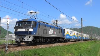 山陽本線 EF210-101牽引満載1050レ 高速通過