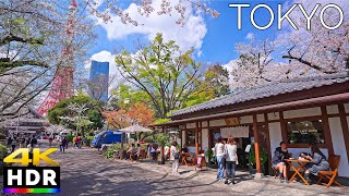 【4K HDR】Pleasant Walk in Downtown Tokyo on a Bright Spring Day 🗼