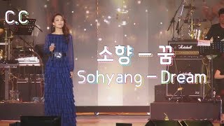 [C.C] 소향 (Sohyang) - 꿈 (Dream)