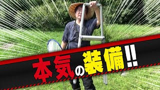 本気の装備で挑む！オオクワガタ採集