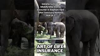 Extreme Survival -WildlifeWild Animal Encounter In Elephant Herd Safari SanctuaryNational Park | 5