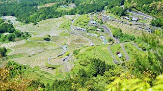 春の熊野古道～丸山千枚田+（風伝峠）