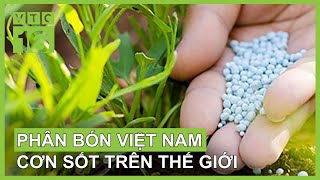 Cơn sốt phân bón Việt Nam tại thị trường thế giới | VTC16