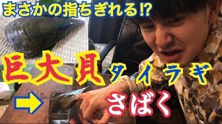 【巨大貝‼︎】珍貝 タイラギ を捌く‼︎まさかの指が喰い千切られた⁉︎~A shellfish is sold.