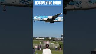 秋晴れとフライングホヌ✨AllNIPPONAIRWAYS Ａ３８０　#飛行機動画 #フライングホヌ #shorts