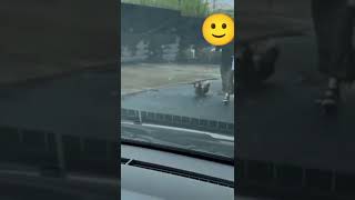 笑顔で車に向かってくる愛犬😃 【ミニチュアダックスフンド】