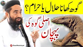 Monitor Lizard Halal Or Haram ? Asli Goh Ki Pehcan | Molana Manzoor Mengal | اصلی گوھ کی پہچان