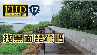 大蘋果 台17線 台江國家公園 （1）黑面琵鷺 野生動物 保護區 HD Tainan City, Taiwan