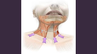 Jaw braces and deep breathing help loosen the neck bands.
