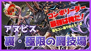 【パズドラ】転生アヌビスで裏闘技場に挑戦。コンボリーダー最強は俺だ！【実況】