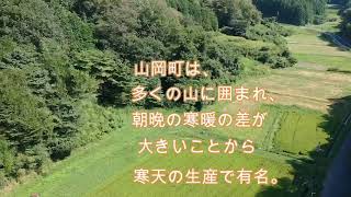 【田んぼアート】山岡町　麒麟がくる　明智鉄道