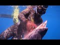 Bluewater SPEARFISHING teaser, dogtooth tuna, marlin, mahi, wahoo.