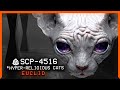 SCP-4516 │ *Hyper-religious cats │ Euclid │ Extraterrestrial SCP