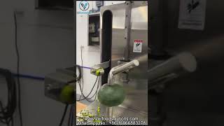 VERFOODSOLUTIONS Pin Type Pumpkin Peeling Machine Test Video