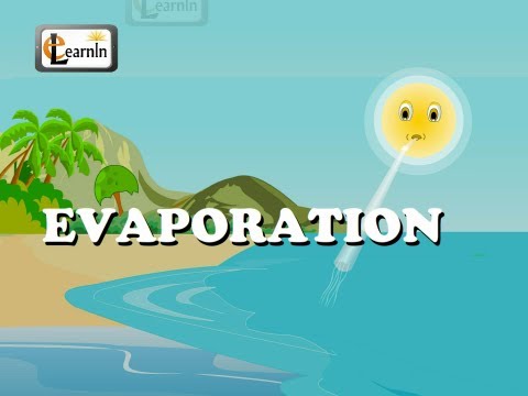 What is Earth’s main source of evaporation?