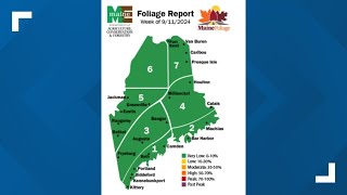 First foliage report for 2024 released