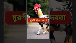 মুরগী নাকি দেবতা।  #trending #funny #comedy #shorts #shortsforyou #viralvideos