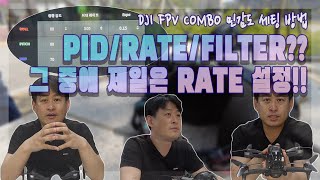 DJI FPV COMBO의 부드러운 비행을 위한 RATE 설정방법/PID,RATE,FILTER란 무엇인가??