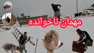 روز برفی و آمدن مهمان در خانه یاسا و رخشانه🤔🤔/چی خاطره دارید از برف جارو کردن☃️