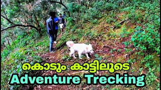 Adventure Trekking through Kodaikanal Forest | കാടിൻറെ നിഗൂഢത തേടി ഒരു യാത്ര |