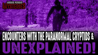 Encounters With Cryptids & The Unexplained - Volume #1