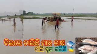 ବିଲରେ ଚାଲିଛି ମାଛ ଚାଷ🐠🐠 || ଏମିତି ମାଛ🐟 ଧରା ଆପଣ ମାନେ କେବେ ଦେଖିଛନ୍ତିକି #dailyvlog #fishing #villagevlog