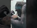 泳ぐ恋★③チンパンジー・モコちゃん・モコイチくん★親子愛・chimpanzee・・・沖縄こどもの国・okinawa zoo u0026 museum 20210425