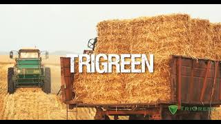 TriGreen Lyric Video