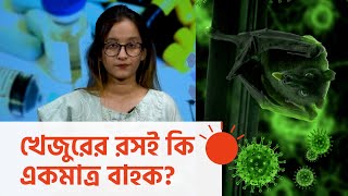 যেভাবে ছড়ায় নিপাহ ভাইরাস | Nipah Virus