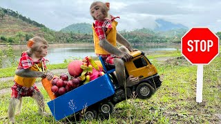 Bim Bim had an accident while harvesting fruit