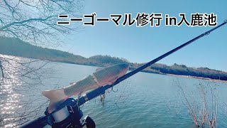 【バス釣り】入鹿池でニーゴーマル修行【バスフィッシング】