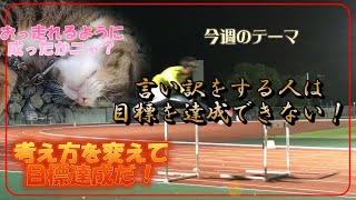 【vlog】50歳で世界1位になる男の挑戦  こんな考え方ではダメだ！　今週のテーマ　言い訳をする選手は目標達成できない　【マスターズ陸上110ｍH　練習】