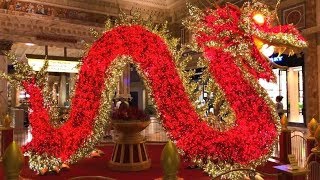 Las Vegas,  Illuminated Dragon@Forum Shops