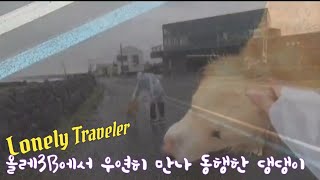 [Lonely Traveler] 쓰담쓰담 토닥토닥 /올레길에서 우연히 만나 동행한 댕댕이 / 비내리는 올레3B 코스