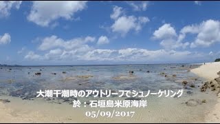 石垣島米原ビーチで大潮の干潮時にアウトリーフでシュノーケリング（05/09/2017）