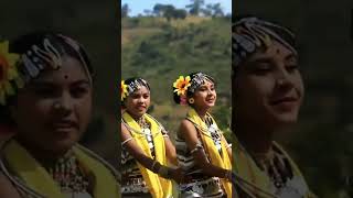 Dhemsa Dance || Koraput ||