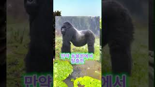 [6화] 당신의 목숨을 구하는 방법들 - 랜덤팩트 #꿀팁