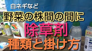 白ネギの間に野菜と除草剤と種類と使い方【白ネギ】【野菜全般】【除草剤】【種類】【掛け方】【やり方】21/7/4#110#農業